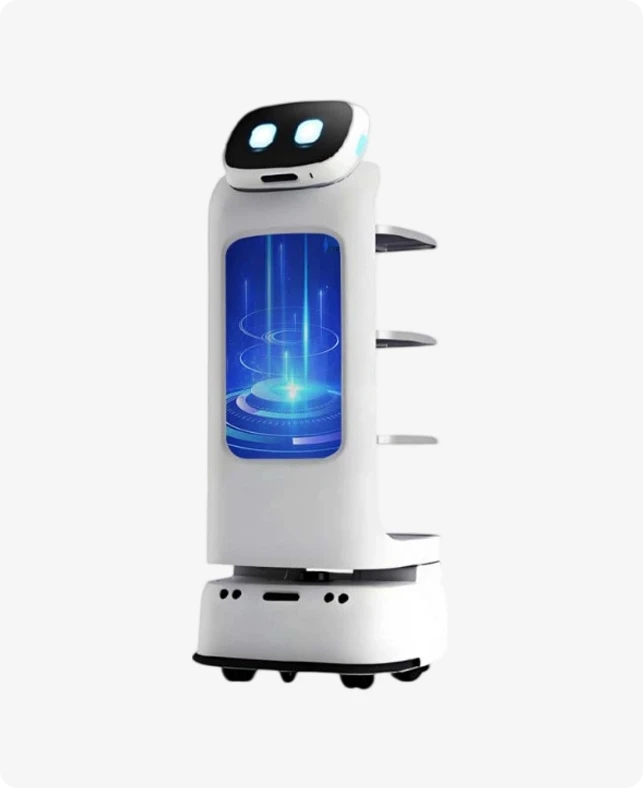 Robot za komercijalne usluge